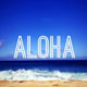 Hale Aloha Foundation